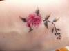Tatuaggio rosa: significato e disegni per ragazze e uomini