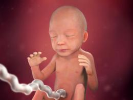 What does the fetus look like at 22 weeks of pregnancy?